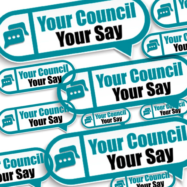 Your Council, Your Say